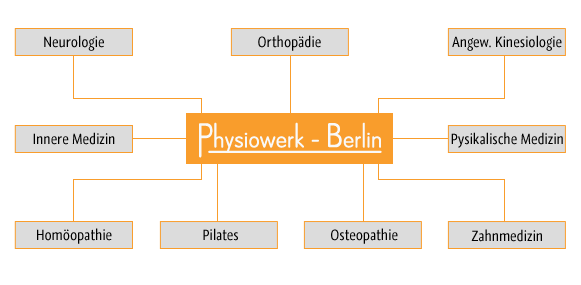 Diagramm was das Physiowerk Berlin anbietet.